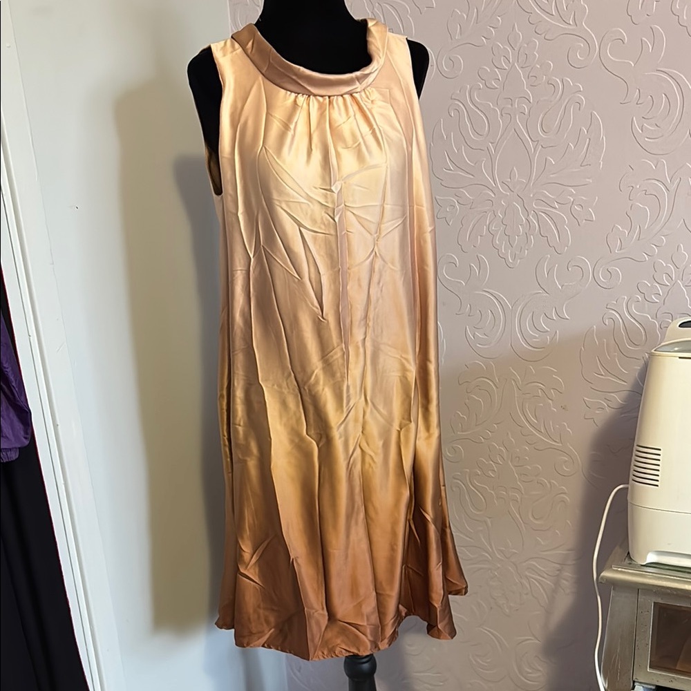Elegant Ombre Sleeveless Dress